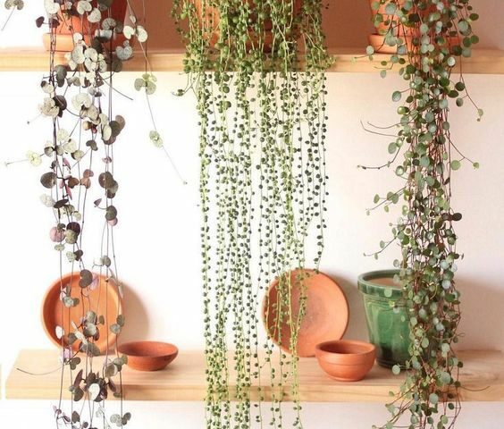 https://www.cuisiconcept.ca/wp-content/uploads/2020/07/Photo_1-564x480.jpg